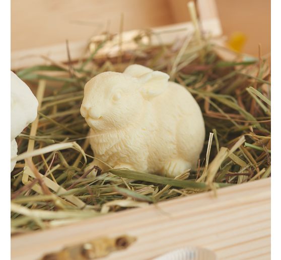 VBS Volledige siliconen vorm "Bunny"