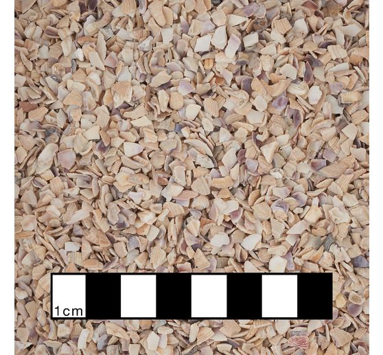 Mussel granules