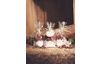 Bath salts-Set "Rose Dream"