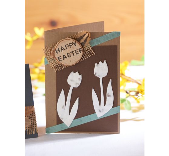 Paper scoop frame