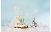 VBS Houten bouwpakket slee "Sneeuwpop"