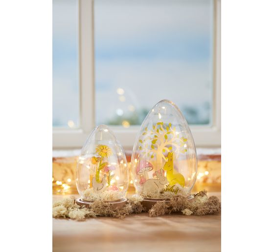 LED-lichtketting met accubox
