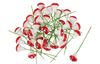 VBS Toadstools, 36 pieces