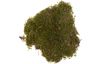 Plate moss, 50 g