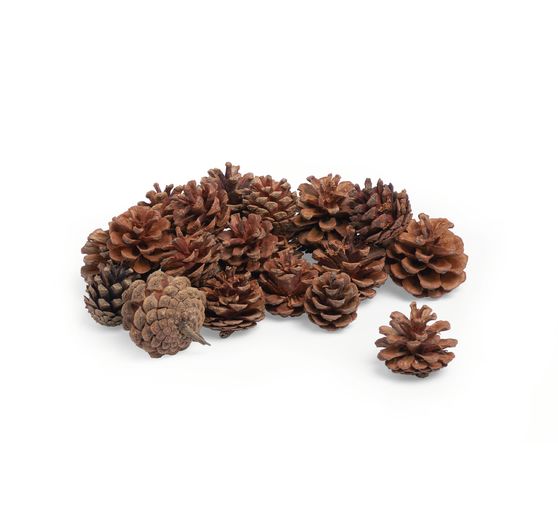 VBS Fir cones, 250 g