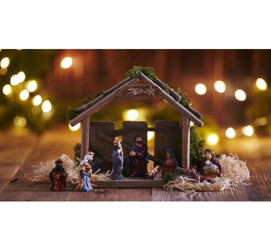 VBS Ijsland mos, 100 g