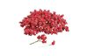 VBS Decorative berries with wire "Frosted", 200 pieces