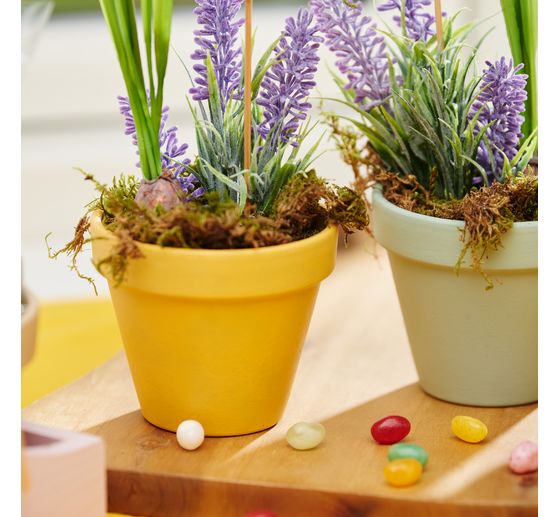 VBS Lavendel pluk "Lavendula", 10 stuks