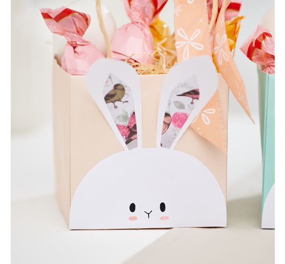 VBS Papieren zakjes "Pastel", set van 6