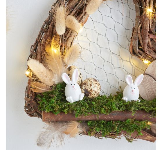 VBS Ijsland mos, 100 g