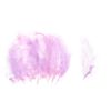Maraboe veren, ca. 15 stuks Orchid