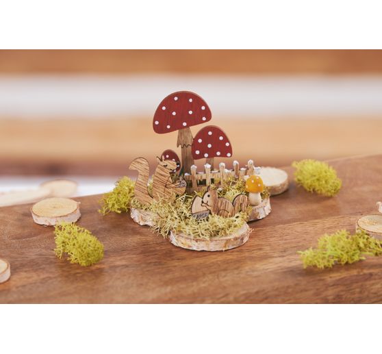 VBS Ijsland mos, 100 g