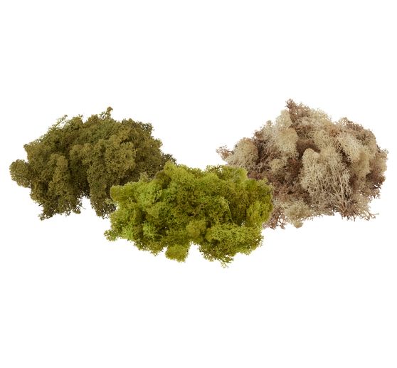 VBS Ijsland mos, 100 g