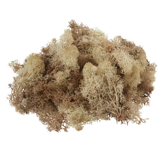 VBS Iceland moss, 100 g