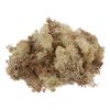 VBS Ijsland mos, 100 g Natuur