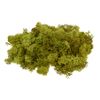 VBS Ijsland mos, 100 g Meigroen