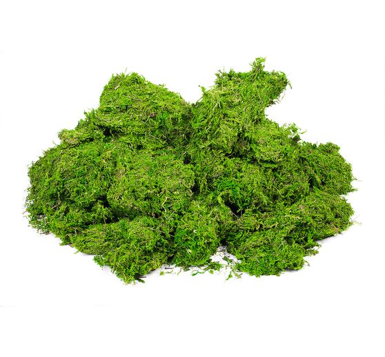 A kilo of moss, VBS Wholesale Package