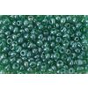 Rocailles "Rainbow" Fern Green