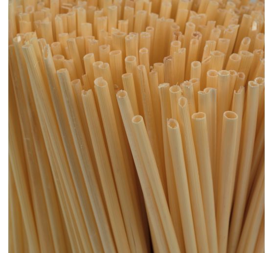VBS Knutselrietjes "Natuur", 500 stuks