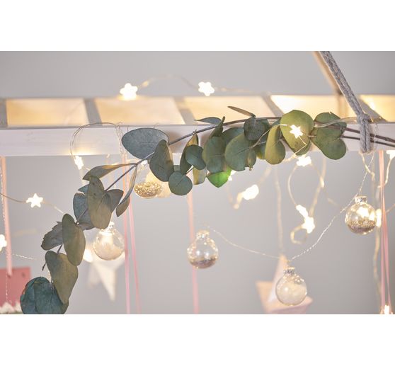 Eucalyptus Cinerea geprepareerd