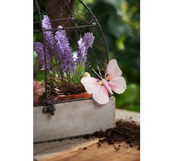 Decoratieve volière "Shabby"