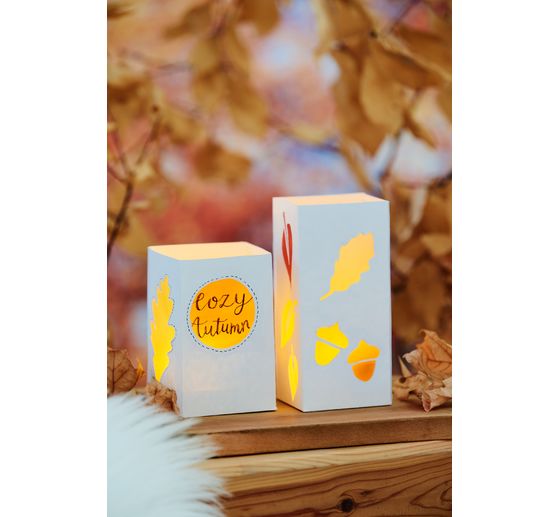 Photo cardboard