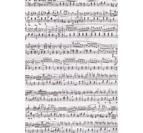 Vellum paper "Notes"
