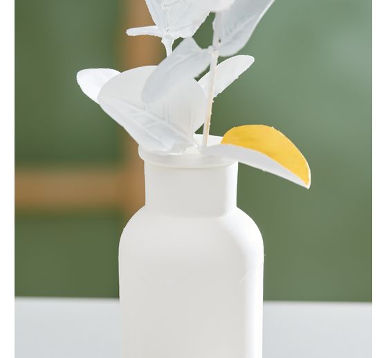 VBS Bottle vases