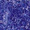 Glitter Flaky Glue Donkerblauw