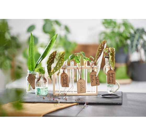 VBS Bottle vases