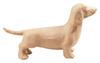Dachshund