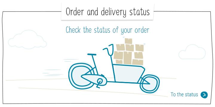Order and delivery status